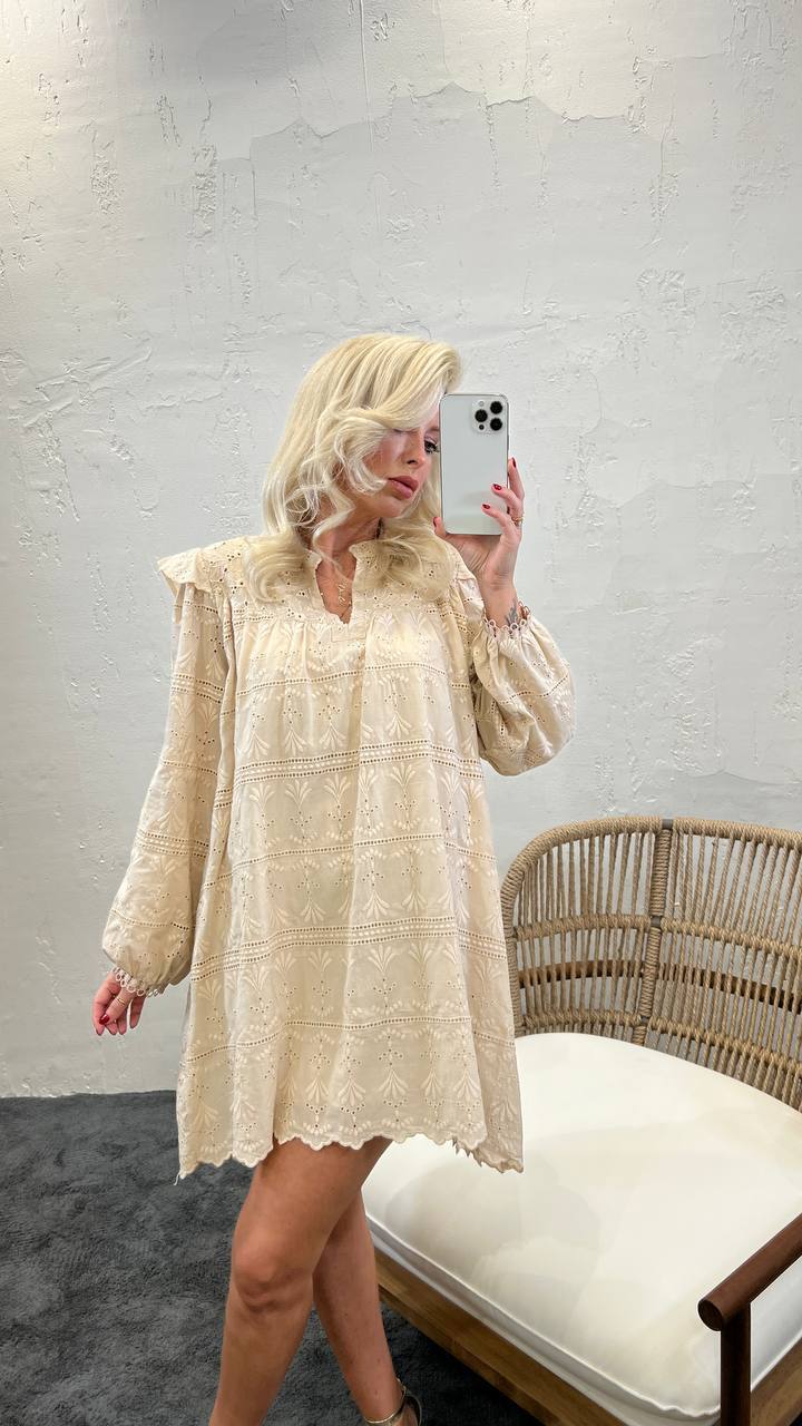 Mandarin Collar Long Sleeve Mini Broderie Smock Dress In Beige - trendynow